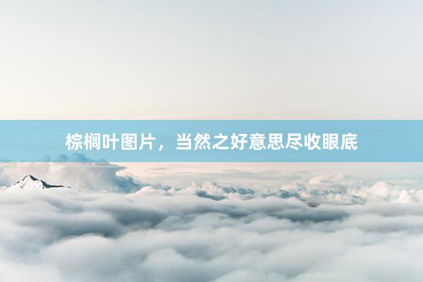 棕榈叶图片，当然之好意思尽收眼底